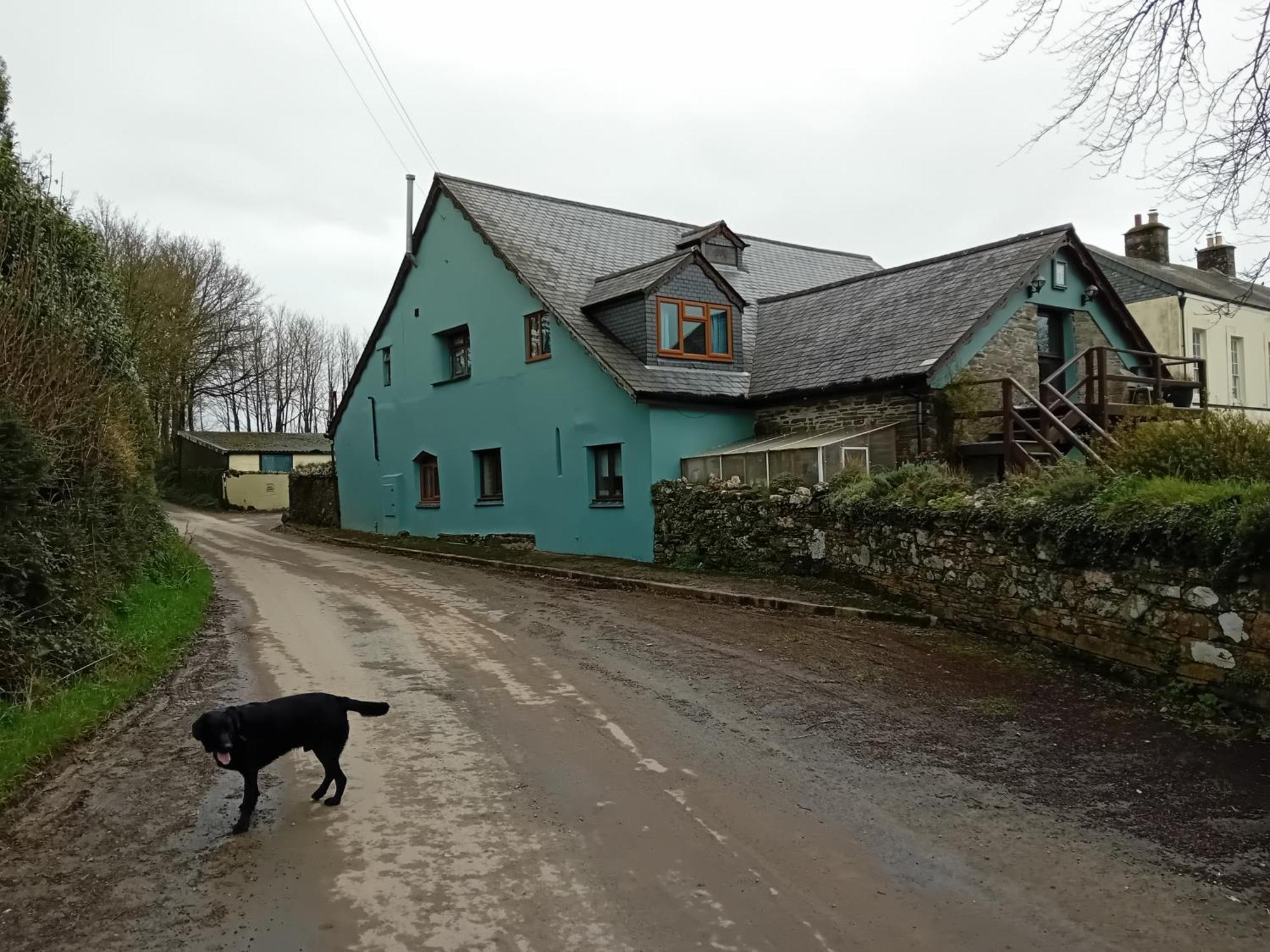 Robins Nest Liskeard Exterior foto